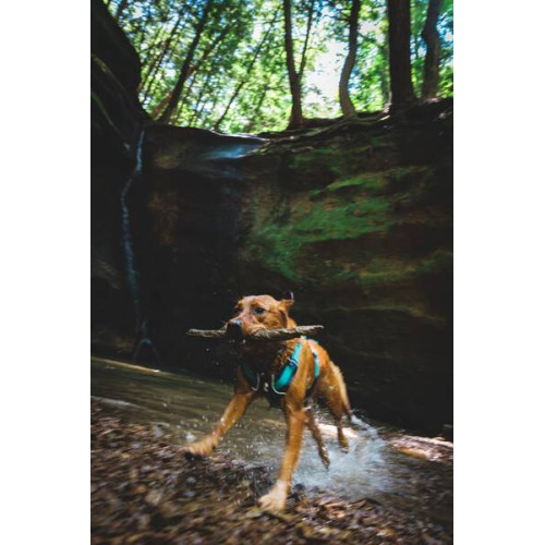 Шлейка для собак Ruffwear, Flagline™, серая