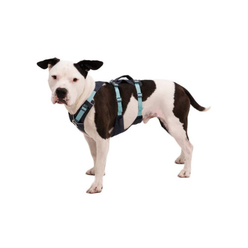 Шлейка для собак Ruffwear, Flagline™, серая