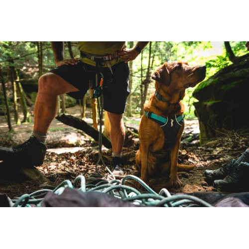 Шлейка для собак Ruffwear, Flagline™, серая