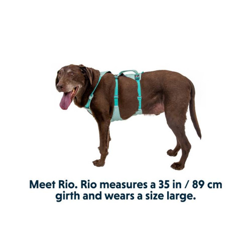 Шлейка для собак Ruffwear, Flagline, зеленая