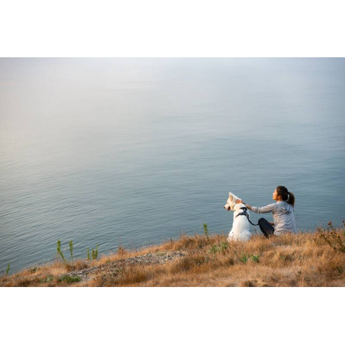 Шлейка для собак Ruffwear, Front Range®, сіра