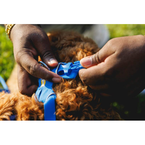 Шлейка для собак Ruffwear, Front Range®, синяя