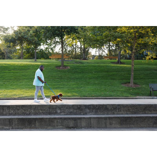 Шлейка для собак Ruffwear, Front Range®, синяя