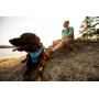 Шлейка для собак Ruffwear, Front Range, сине-голубой