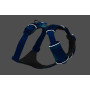 Шлейка для собак Ruffwear, Front Range, сине-голубой