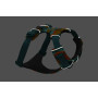 Шлейка для собак Ruffwear, Front Range, бирюзово-оранжевая