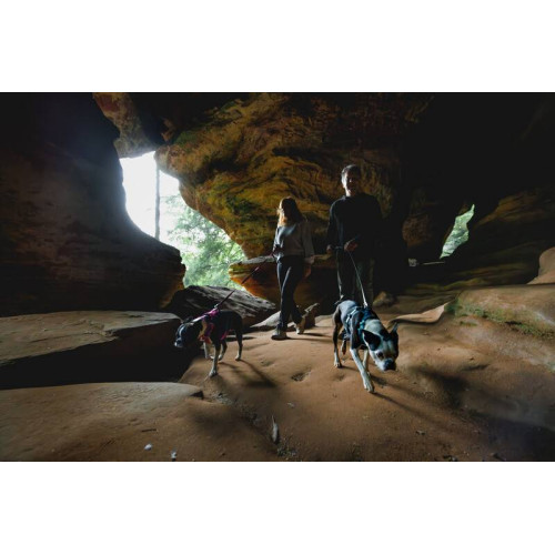 Шлейка для собак Ruffwear, Hi & Light, малиновая