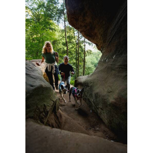 Шлейка для собак Ruffwear, Hi & Light, серая