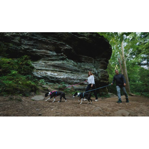 Шлейка для собак Ruffwear, Hi & Light, серая