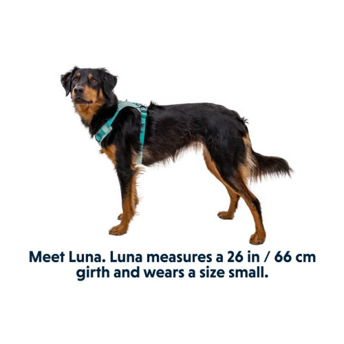 Шлейка для собак Ruffwear, Hi & Light, зеленая