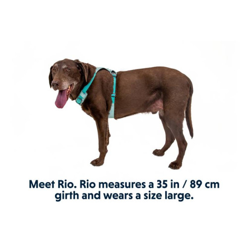 Шлейка для собак Ruffwear, Hi & Light, зеленая