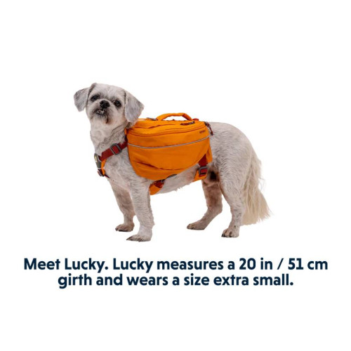 Шлейка для собак Ruffwear, Approach™, оранжевая