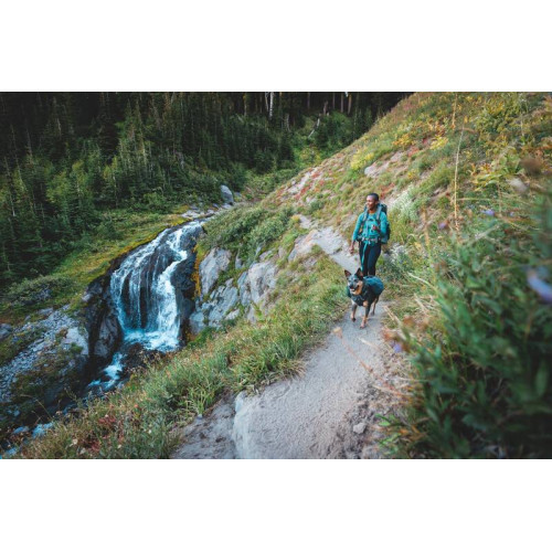 Шлейка для собак Ruffwear, Front Range™, серая