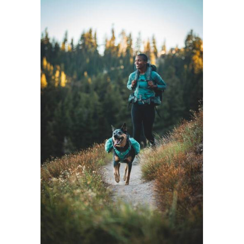 Шлейка-рюкзак для собак Ruffwear, Front Range, зеленая