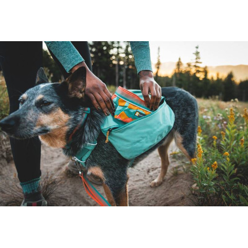 Шлейка-рюкзак для собак Ruffwear, Front Range, зеленая
