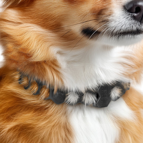 Противопаразитарный ошейник для кошек и собак SUPERIUM Блокер