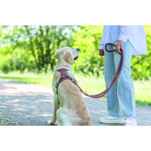 Поводок для собак Trixie Cavo регулируемый плетеный рыжий-графит