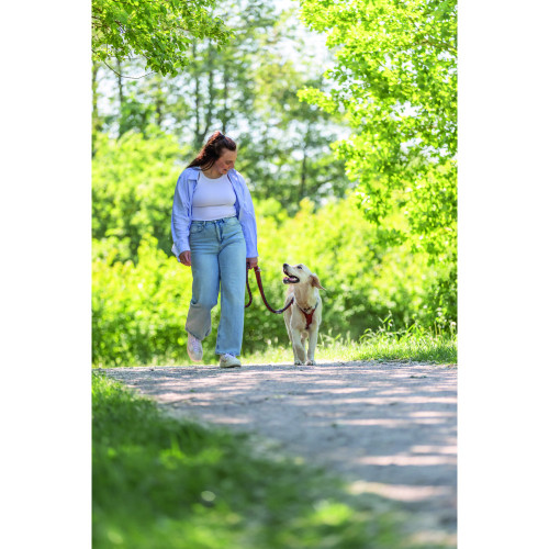 Поводок для собак Trixie Cavo регулируемый плетеный рыжий-графит