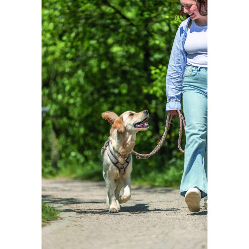 Поводок для собак Trixie Cavo регулируемый розово-песочный