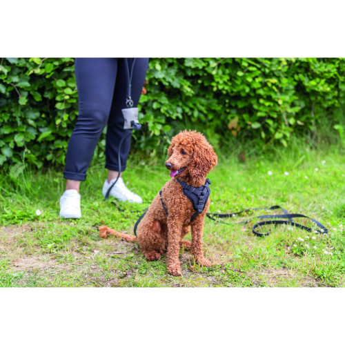 Шлея для собак Trixie CityStyle H-harness хлопковая черная