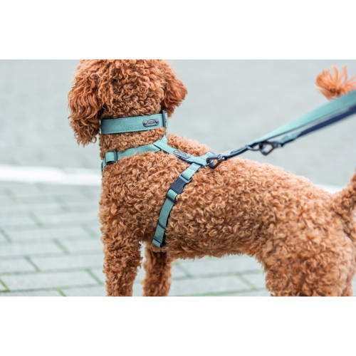 Шлея для собак Trixie CityStyle H-harness хлопковая светло-зеленая