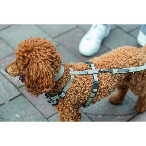 Шлея для собак Trixie CityStyle H-harness хлопковая светло-серая