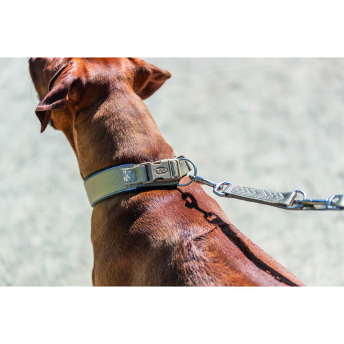 Ошейник для собак Trixie Premium экстраширокий песочно-серый