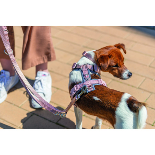 Шлея для собак Trixie Premium трекинговая розово-серая