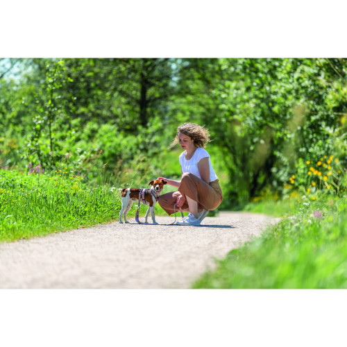 Шлея для собак Trixie Premium трекинговая розово-серая