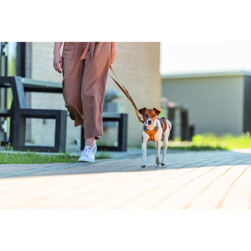 Поводок для собак Trixie Premium регулируемый оранжевый