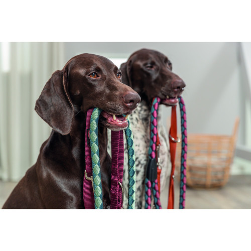 Поводок для собак Trixie Premium регулируемый двухслойный бордовый