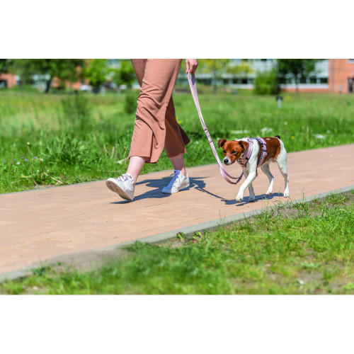 Поводок для собак Trixie Premium регулируемый светло-розовый