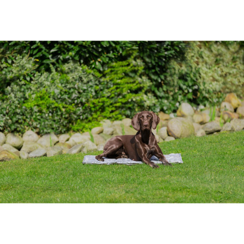 Охлаждающий коврик Trixie мягкий серый 110×70 см