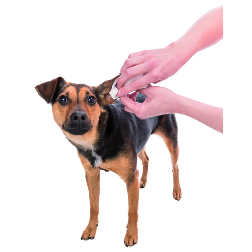 Серветки Trixie для догляду за вухами