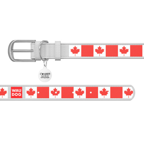 Ошейник WAUDOG Design с рисунком "Кленовый лист", белая премиум кожа, металлическая пряжка