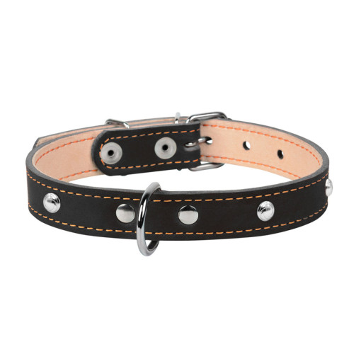 Ошейник для собак "CoLLaR" двойной кожаный чёрного цвета с украшениями