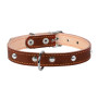 Ошейник для собак "CoLLaR" двойной кожаный коричневого цвета с украшениями