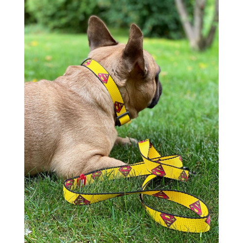 Нашийник для собак нейлоновий WAUDOG Nylon з QR-паспортом, малюнок "Супермен 2", пластиковий фастекс