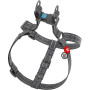 Шлея для собак из восстановленного хлопка WAUDOG Re-cotton серая с QR-паспортом