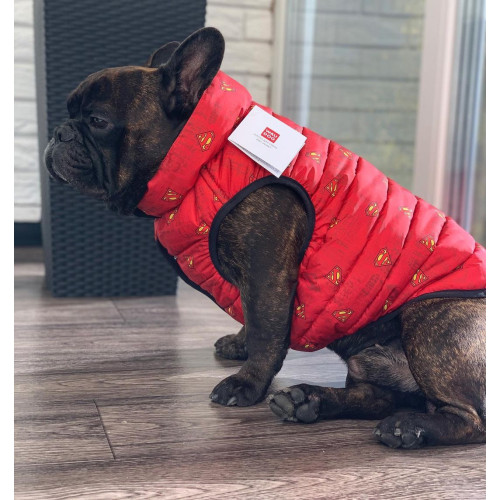 Жилет для собак WAUDOG Clothes DC Comics красного цвета Супермен