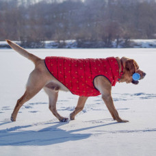 Жилет для собак WAUDOG Clothes DC Comics красного цвета Супермен