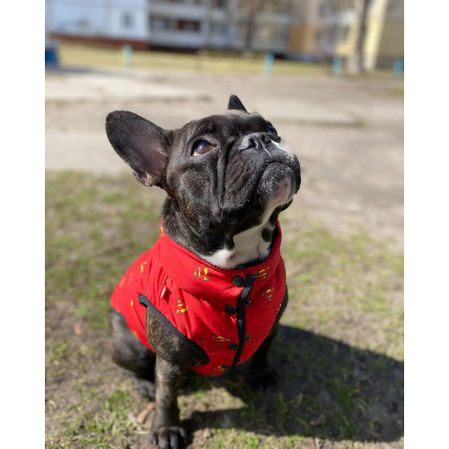 Жилет для собак WAUDOG Clothes DC Comics красного цвета Супермен