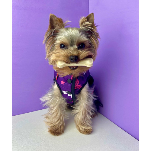 Куртка для собак Collar WAUDOG Clothes фиолетовая с рисунком "Чудо-женщины"