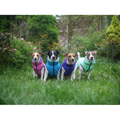 Жилетка для собак AiryVest розово-фиолетовая двусторонняя