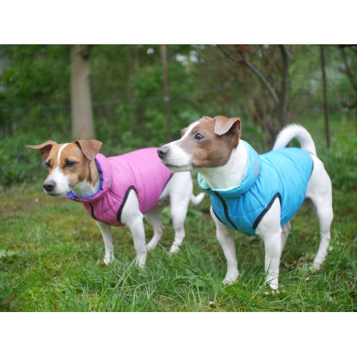 Жилетка для собак AiryVest розово-фиолетовая двусторонняя