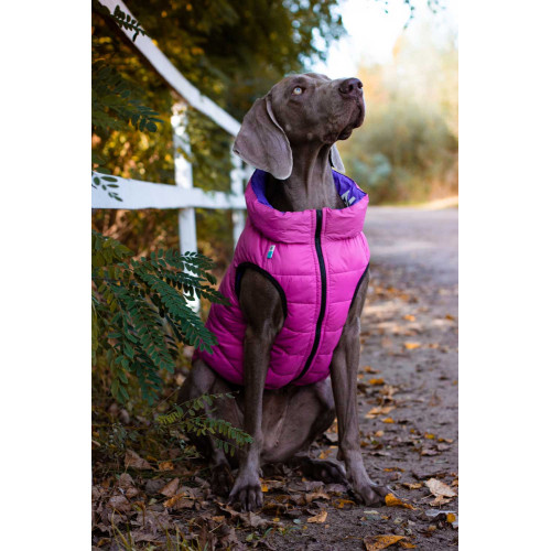 Жилетка для собак AiryVest розово-фиолетовая двусторонняя