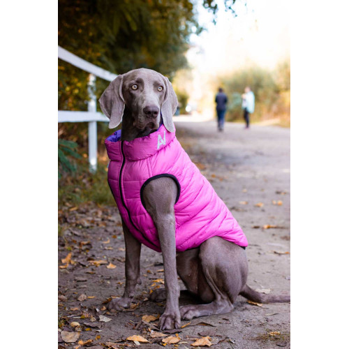 Жилетка для собак AiryVest розово-фиолетовая двусторонняя