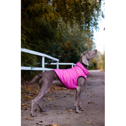 Жилетка для собак AiryVest розово-фиолетовая двусторонняя