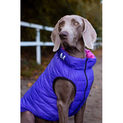 Жилетка для собак AiryVest розово-фиолетовая двусторонняя