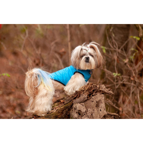 Жилетка для собак AiryVest двухсторонняя Черно-голубая